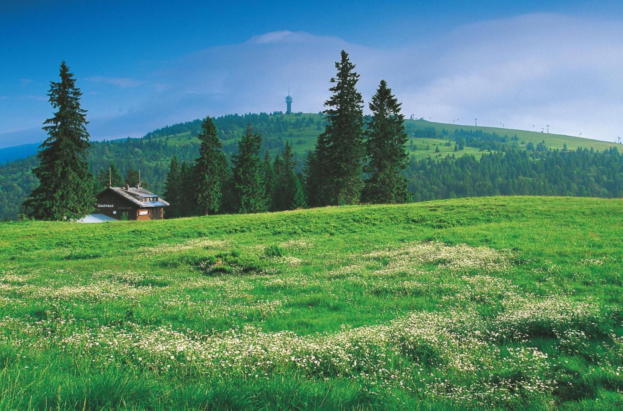 Hotel Charlott Eisenbach  Luaran gambar